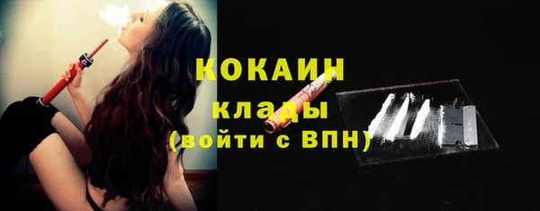 ешки Аркадак